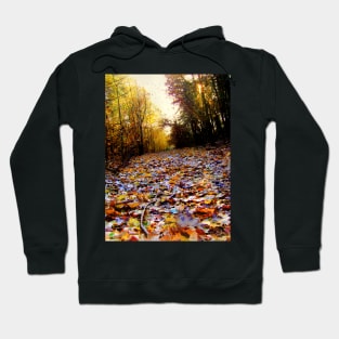 Autumn Leaf Path (HDR) Hoodie